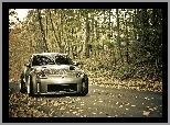 Nissan 350Z, Droga