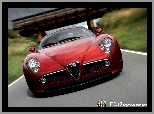 Alfa Romeo 8C Competizione