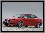 RS4, Czerwone