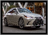 Lexus ES 300