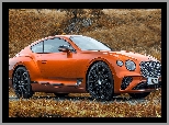 Bentley Continental GT Mulliner